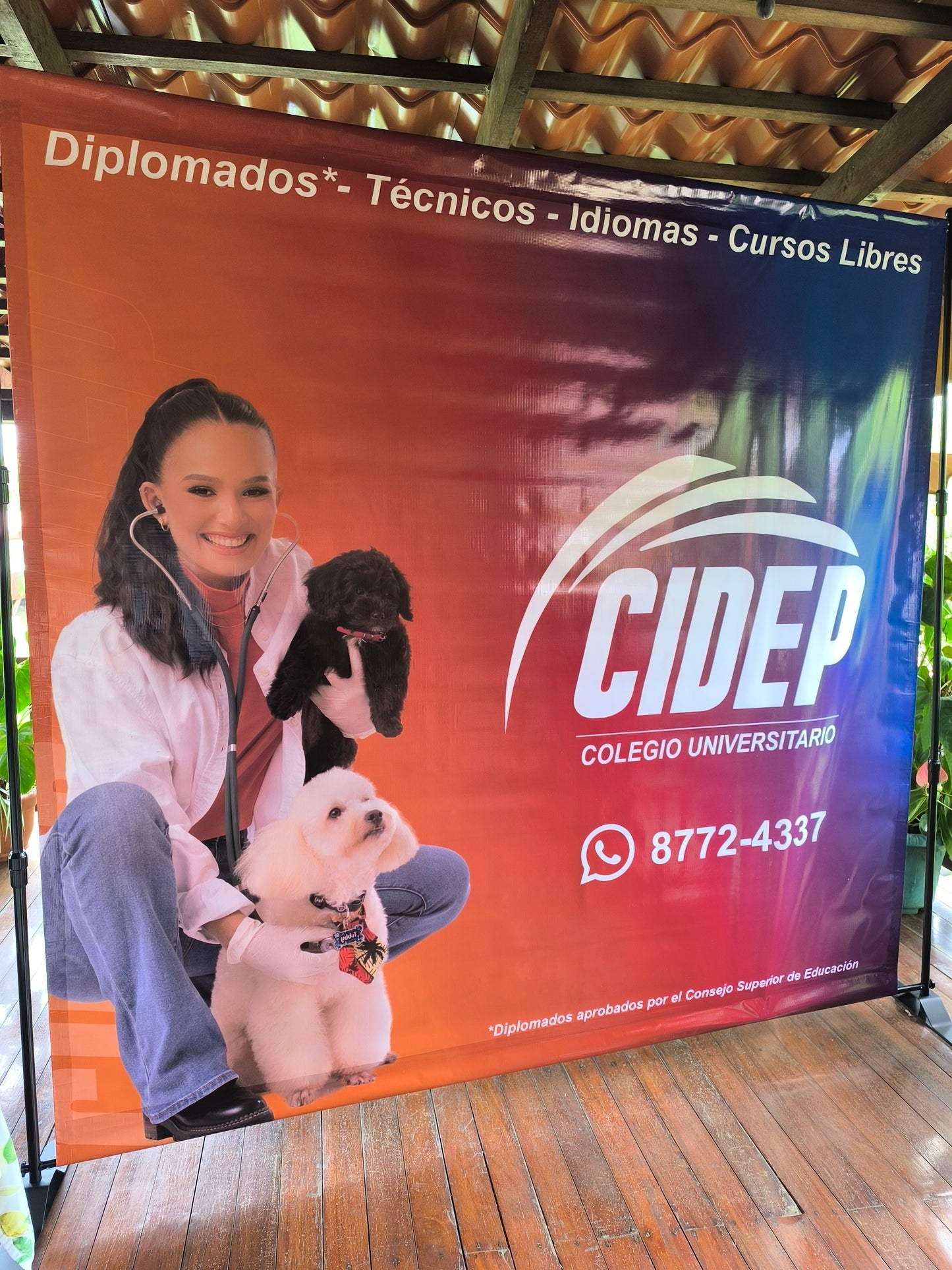 Backpanel Ajustable con lona