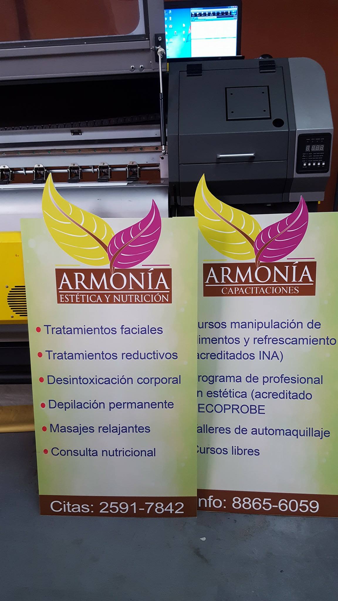 PVC con Vinil Adhesivo Personalizado