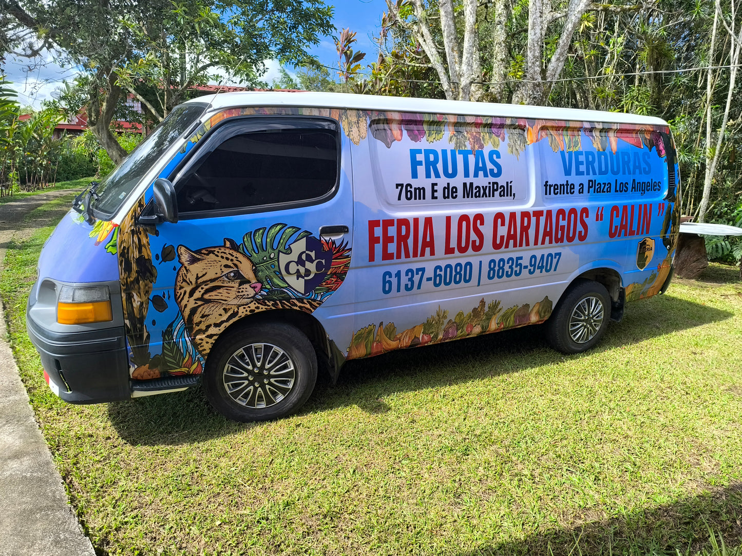 Custom Vehicle and Truck Lettering