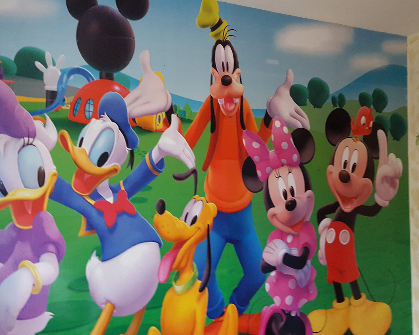 Murales personalizados