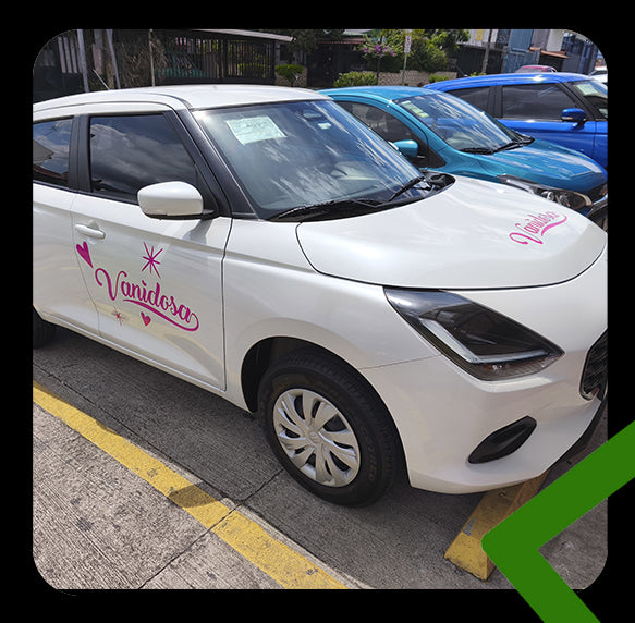Custom Vehicle and Truck Lettering